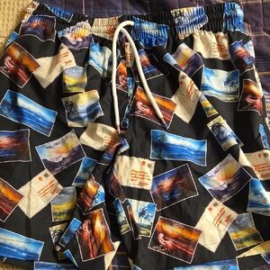RSVLTS Multicolor Postcard Print Men's Swim Trunks